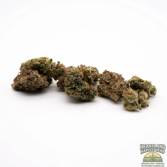 Super Sonic Top Shelf Premium THCa Flower Bulk Pounds (small flower buds) - Heartland Harvest Hemp - Buy Bulk THCa Online - Legal - Fast Shipping