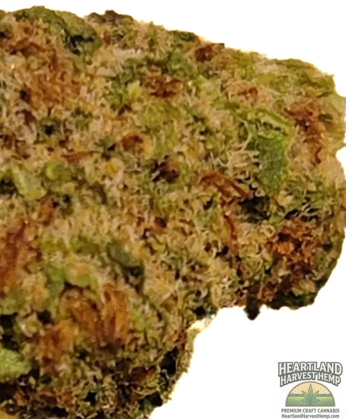Mau i Wowi Tropical Minis THCa Flower Per Gram - Heartland Harvest Hemp - Buy Bulk THCa Online - Legal - Fast Shipping