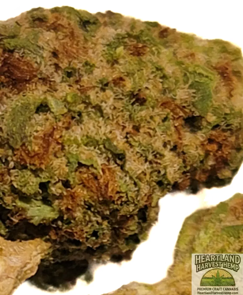 Mau i Wowi Tropical Minis THCa Flower Per Gram - Heartland Harvest Hemp - Buy Bulk THCa Online - Legal - Fast Shipping