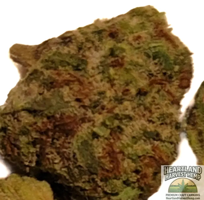 Mau i Wowi Tropical Minis THCa Flower Per Gram - Heartland Harvest Hemp - Buy Bulk THCa Online - Legal - Fast Shipping