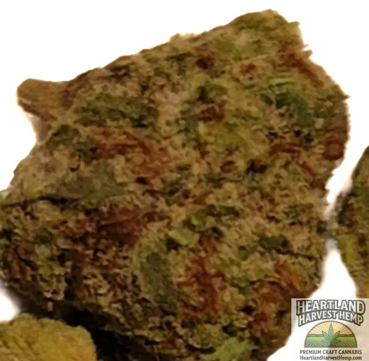 Mau i Wowi Tropical Minis THCa Flower Per Gram - Heartland Harvest Hemp - Buy Bulk THCa Online - Legal - Fast Shipping