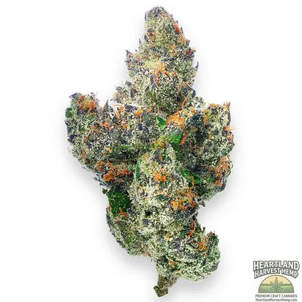 Lemon Dior - 4 Grams - Hybrid Exotic 4gs Heartland Harvest Hemp