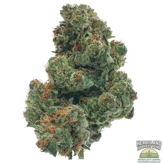 OG Kush THCa Flower Top Shelf 14 Grams - Heartland Harvest Hemp - Buy Bulk THCa Online - Legal - Fast Shipping