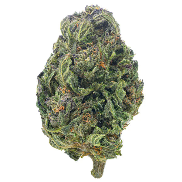 Purple Diesel Gas THCa Flower 28 Grams - Heartland Harvest Hemp - Buy Bulk THCa Online - Legal - Fast Shipping
