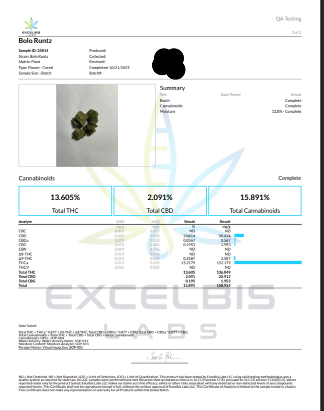 Bolo Runtz - 4gs - Hybrid Top Shelf