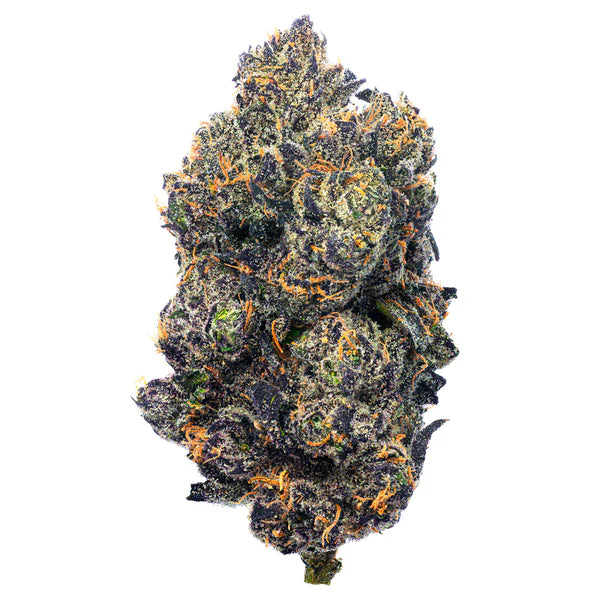 Bolo Runtz - 4gs - Hybrid Top Shelf