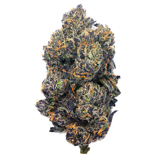 Bolo Runtz - 4gs - Hybrid Top Shelf