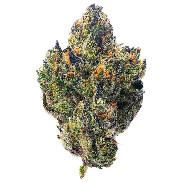 Bolo Runtz - 4gs - Hybrid Top Shelf