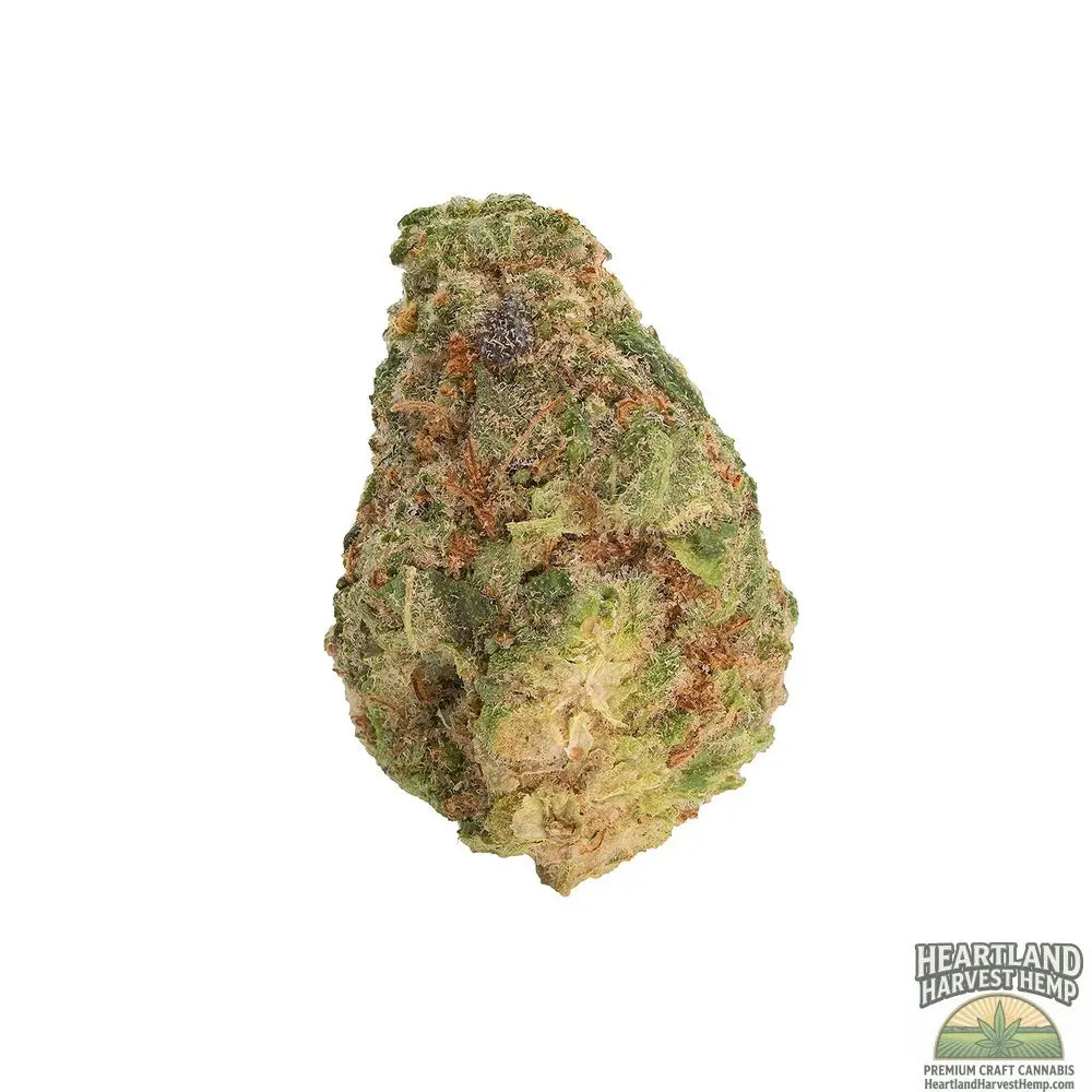 Cherry Punch Dried Flower