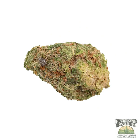 Cherry Punch Dried Flower