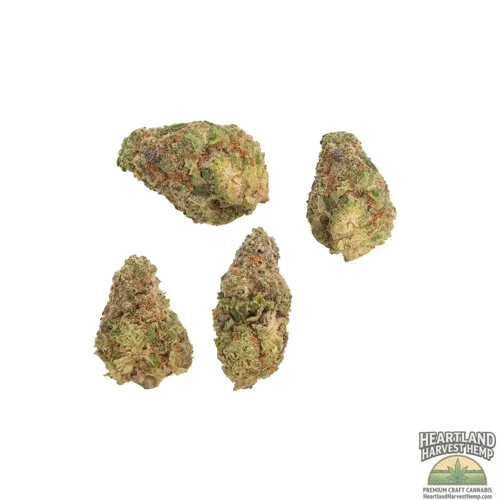 Cherry Punch Dried Flower