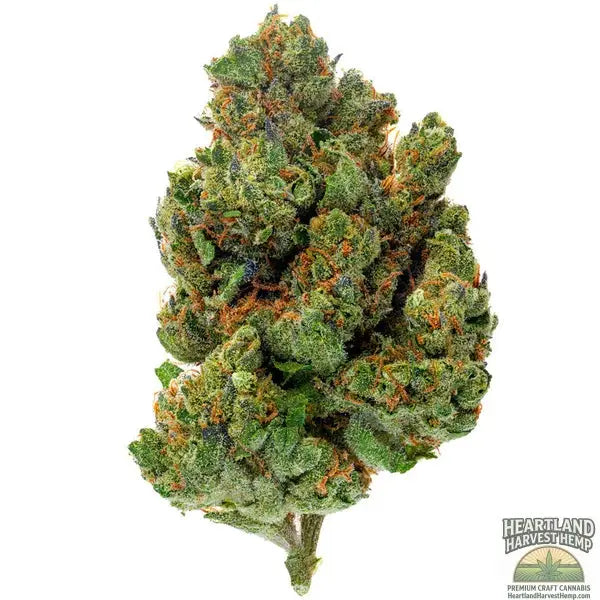 Chocolate Diesel Hybrid THCa Flower - 28 Grams Heartland Harvest Hemp