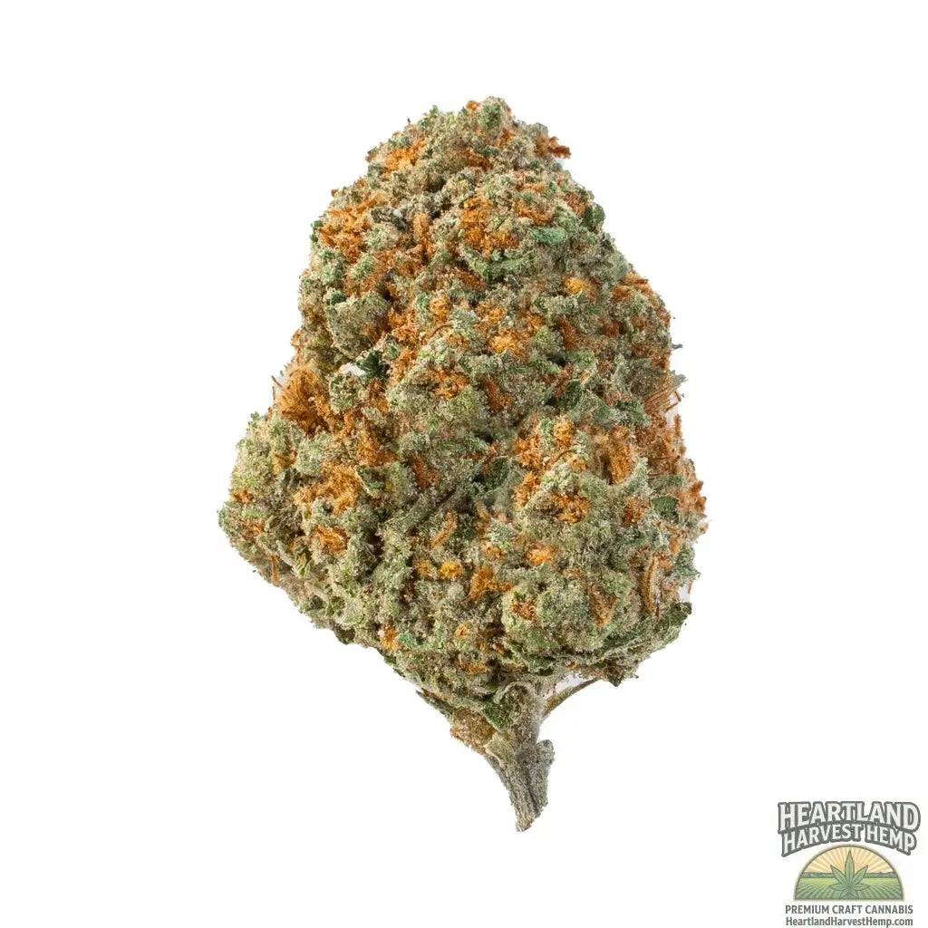 Grape Gasoline Strain – Indica THCa Flower 3.5gs Heartland Harvest Hemp