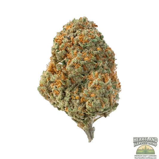 Grape Gasoline Strain – Indica THCa Flower 3.5gs Heartland Harvest Hemp