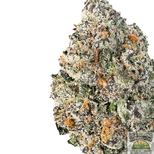 Grape Juice Strain 2.0 – Indica Hybrid THCa Flower 3.5gs Heartland Harvest Hemp - Buy Bulk THCa Online - Legal - Fast Shipping