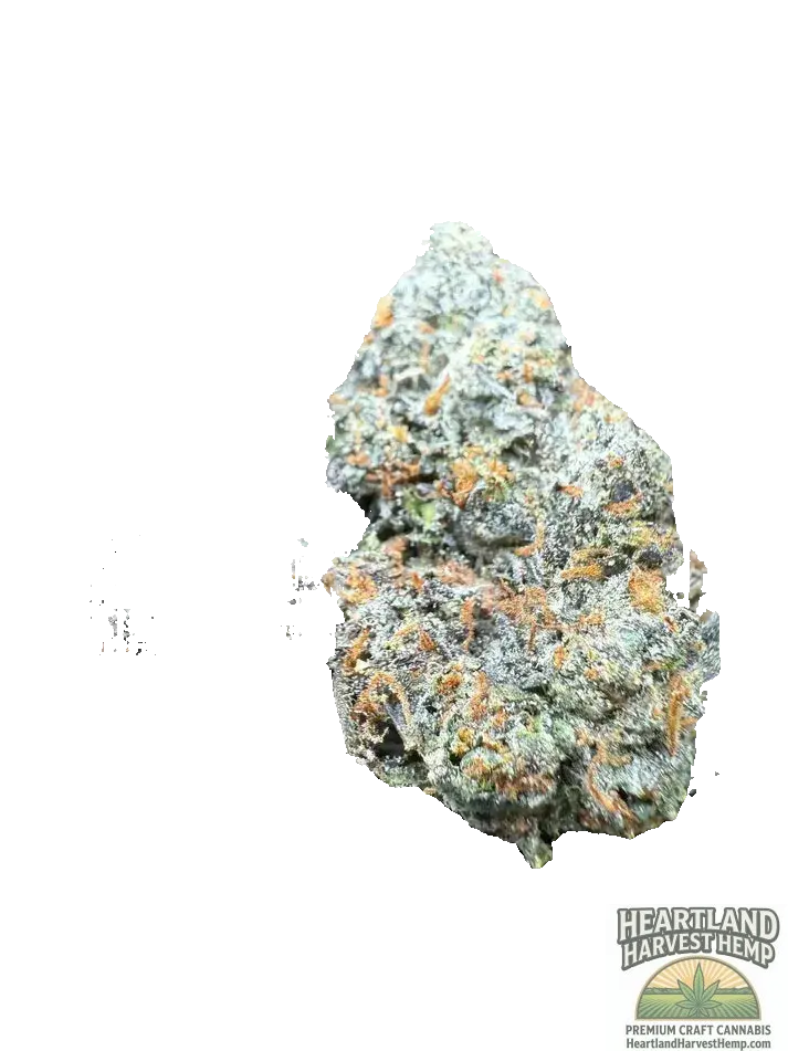 Gary Payton THCa 3.5gs | Indoor Premium Top Shelf THCa Flower Heartland Harvest Hemp