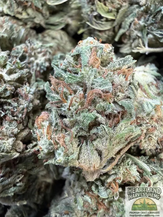 Fuel Original Gangster Top Shelf Flower Pounds - Heartland Harvest Hemp - Buy Bulk THCa Online - Legal - Fast Shipping