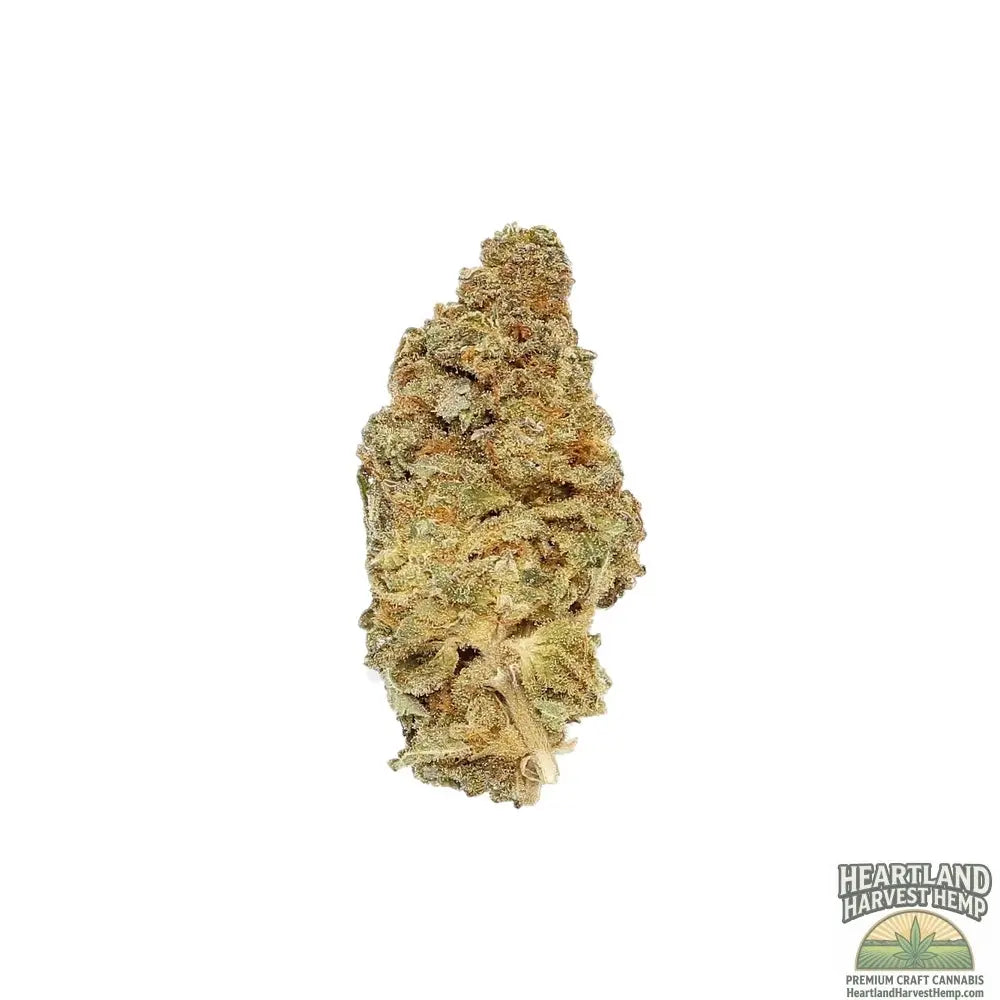 Cbd God Bud Dried Cannabis Flower