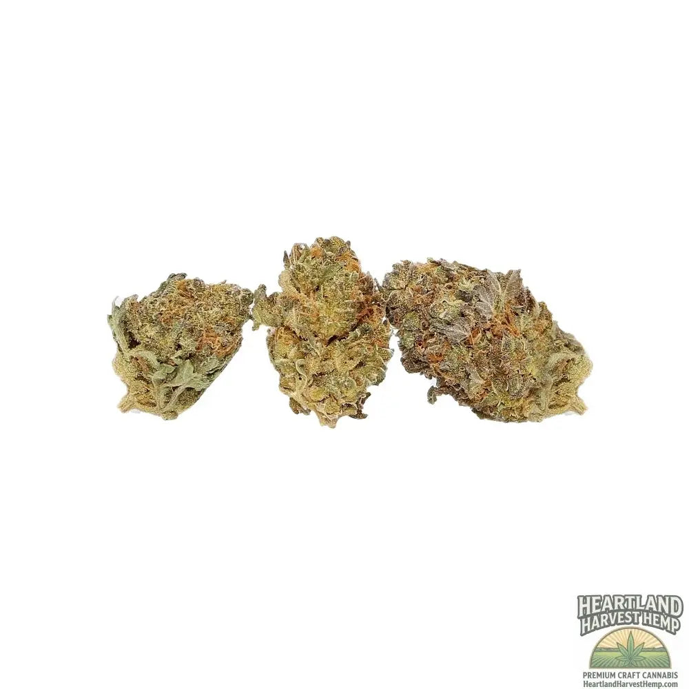 Cbd God Bud Dried Cannabis Flower