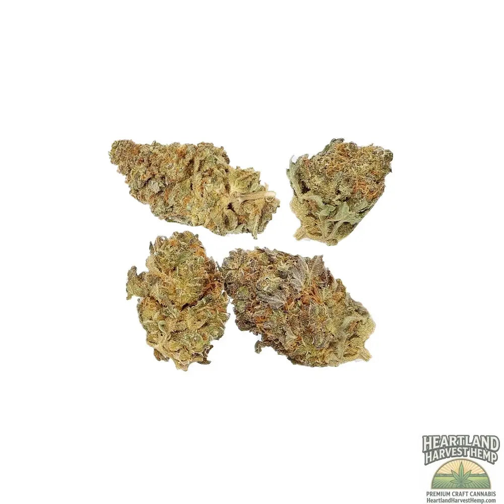Cbd God Bud Dried Cannabis Flower