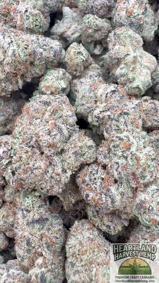 Grape Creme Pound Cake Bulks Medium Buds - Heartland Harvest Hemp - Buy Bulk THCa Online - Legal - Fast Shipping