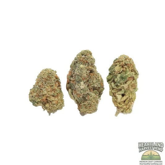 Mazar Haze Dried Flower