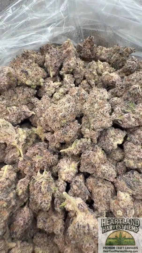 Pink Rosary Pound Bulk Pounds - Heartland Harvest Hemp - Buy Bulk THCa Online - Legal - Fast Shipping