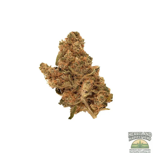 Purple Punch Dried Flower