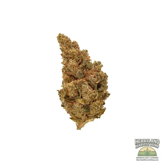 Purple Punch Dried Flower