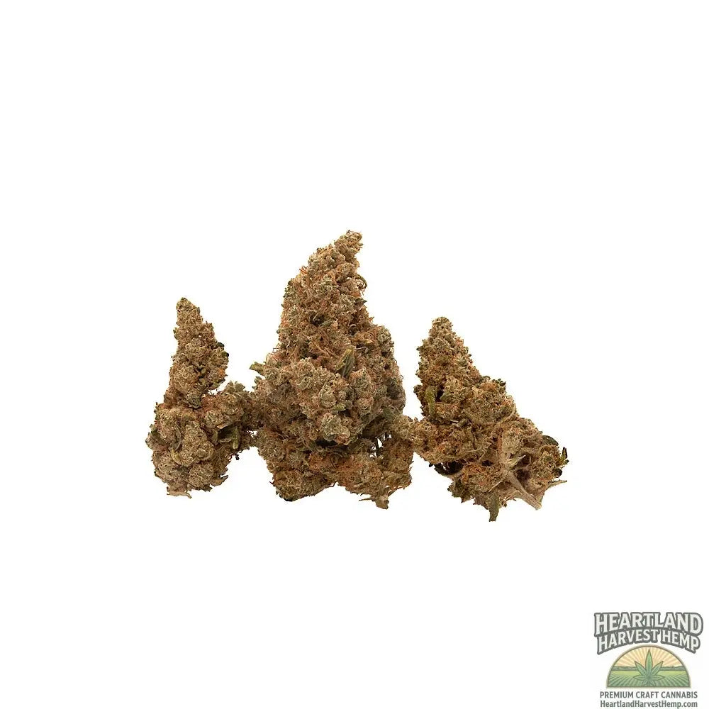 Purple Punch Dried Flower