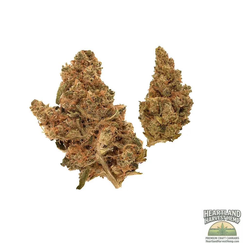 Purple Punch Dried Flower