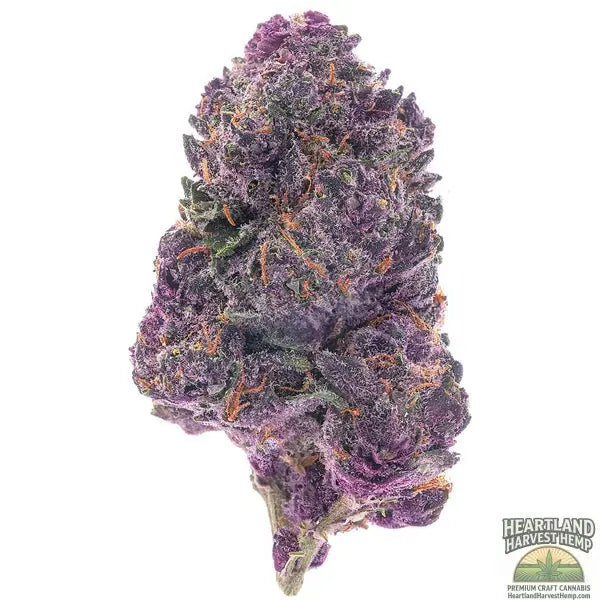 Purple Trainwreck Mutated Hydroponics VERY RARE - 28 Grams Heartland Harvest Hemp
