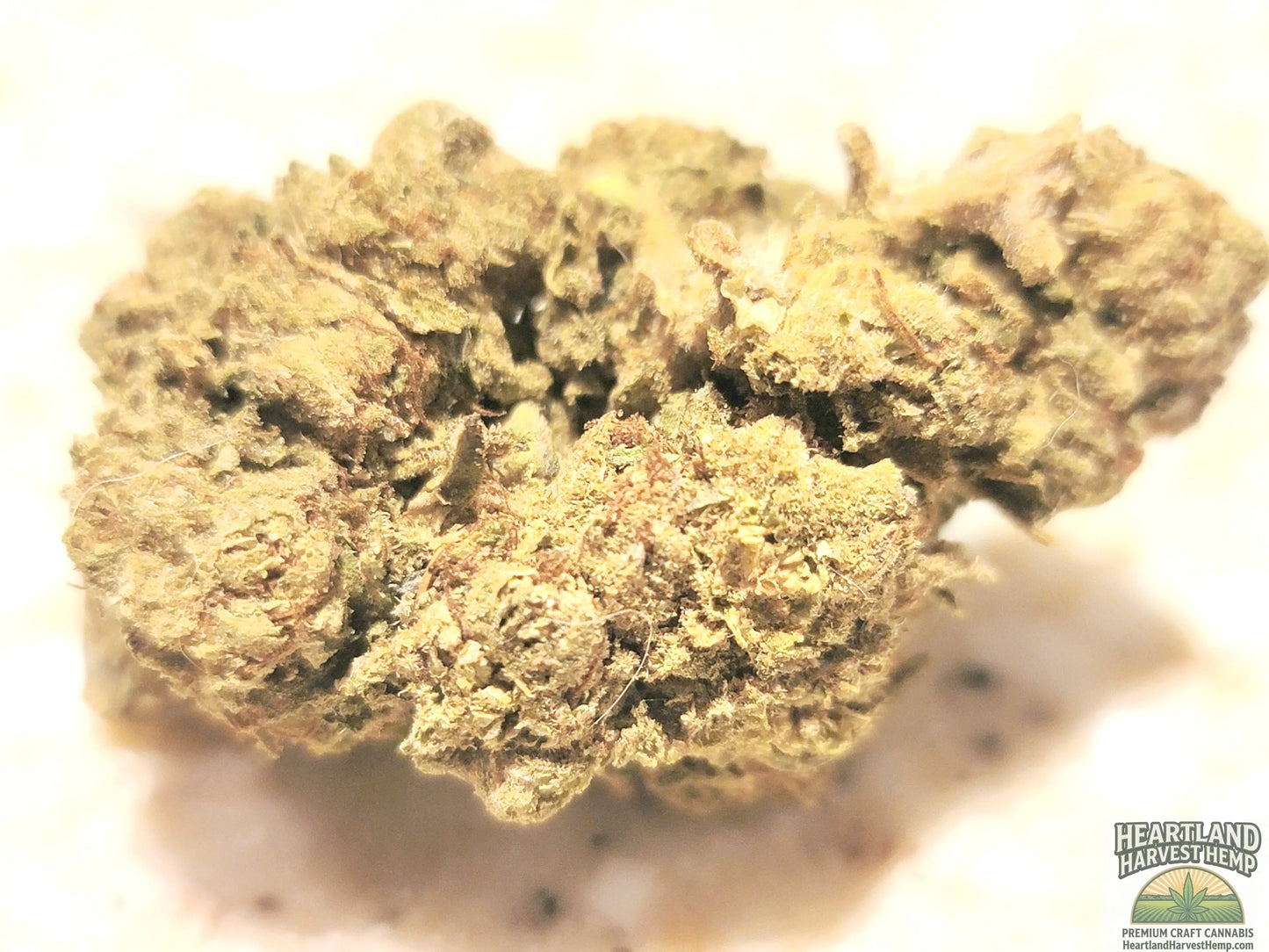 The Pinnacle Big Buds 1 gram - Heartland Harvest Hemp - Buy Bulk THCa Online - Legal - Fast Shipping