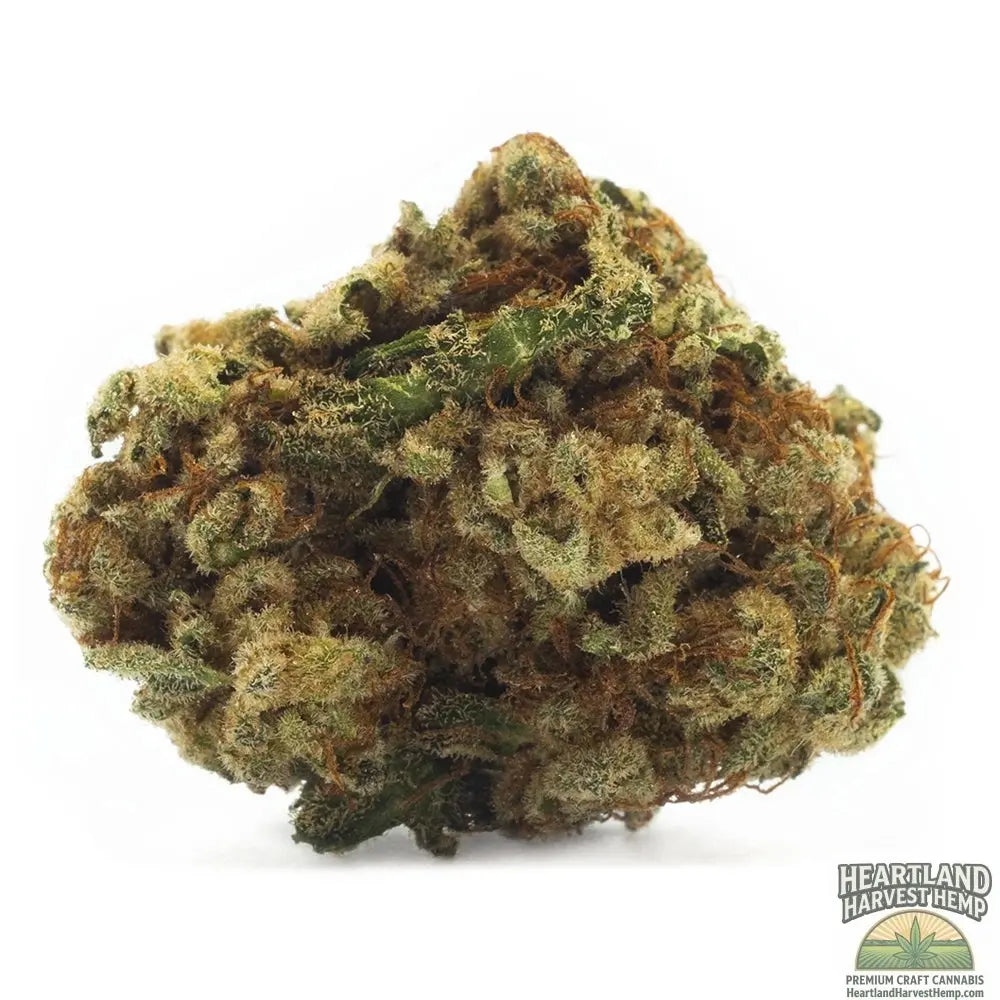 Sativa
