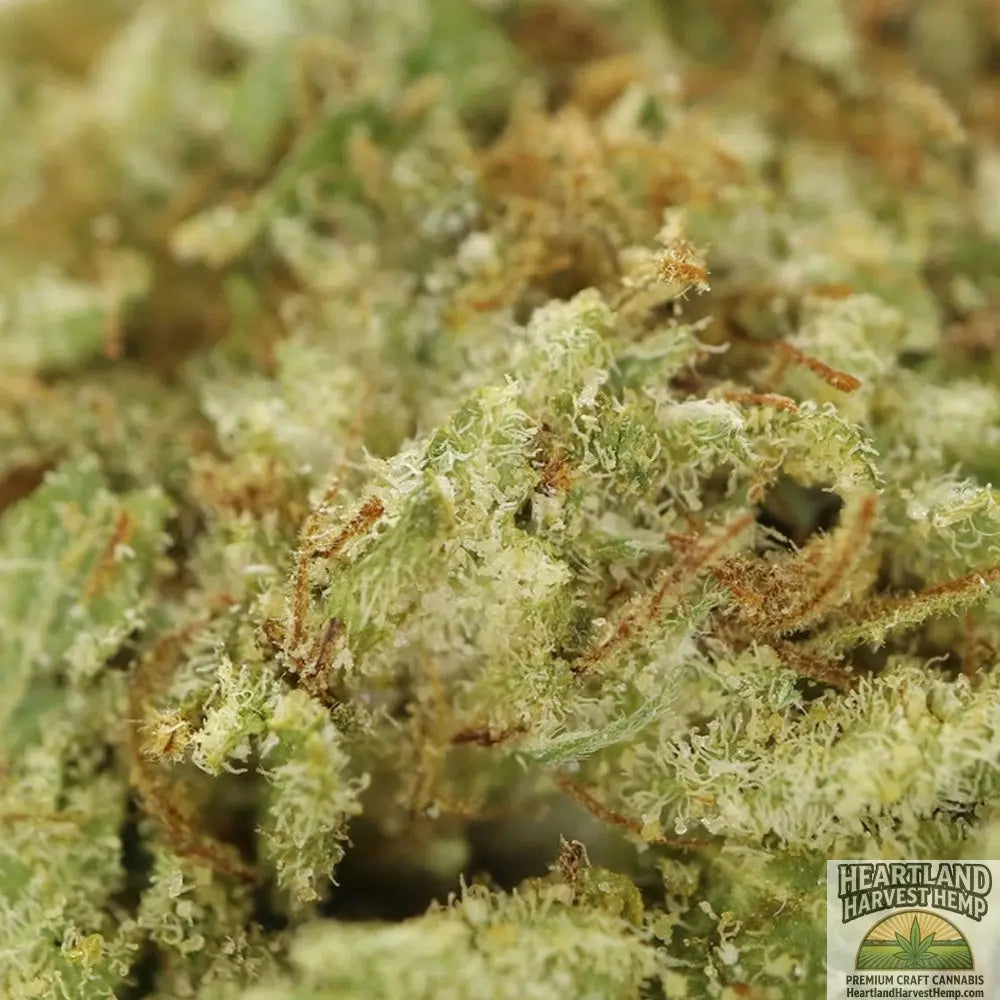 Sensi Star Dried Cannabis Flower