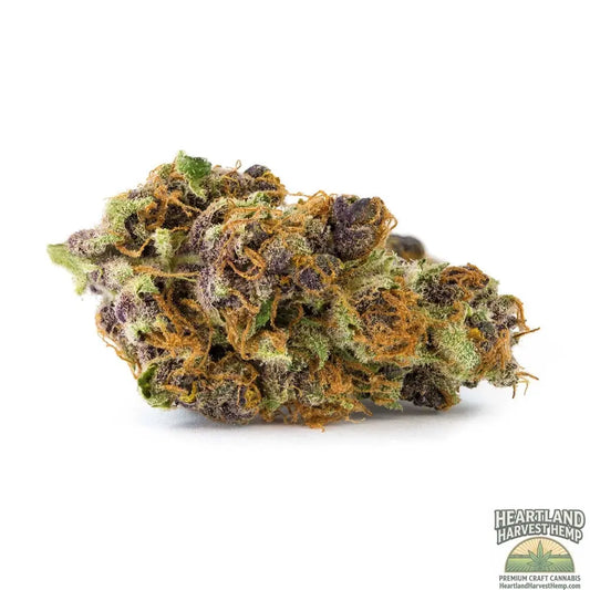 Tangerine Dream